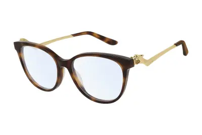 Gọng kính Cartier CT0119O 002 (52)