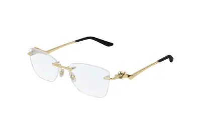Gọng kính Cartier CT0120OA 001 (54)