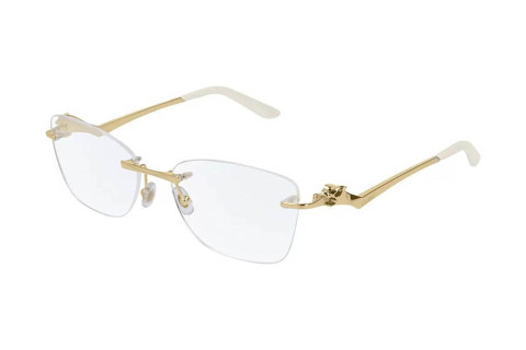 Cartier CT0120OA 002 (54)