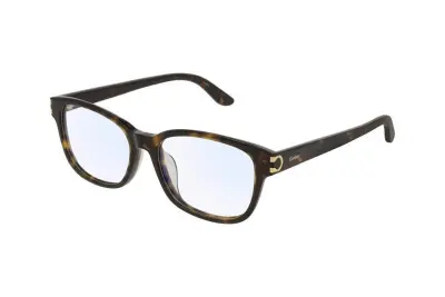 Gọng kính Cartier CT0133OA 002 (54)