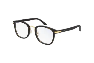 Gọng kính Cartier CT0146O 002 (49)