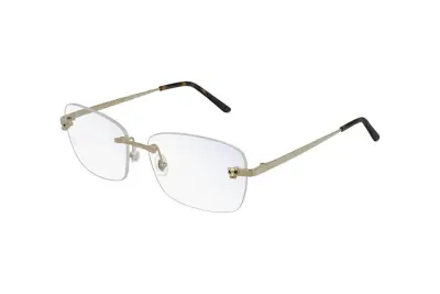 Gọng kính Cartier CT0148O 001 (56)