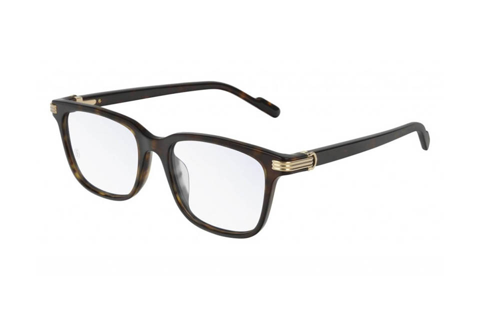Cartier CT0161OA 002 (52)