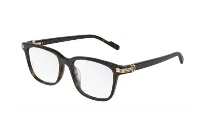 Gọng kính Cartier CT0161OA 002 (52)