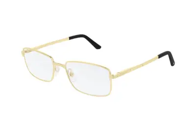 Gọng kính Cartier CT0204O 001 (56)