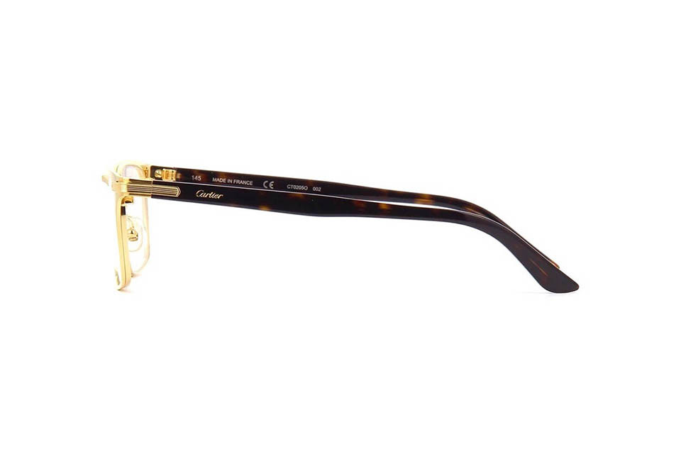 Cartier CT0205O 002 (55)