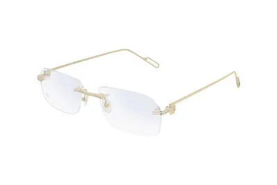 Gọng kính Cartier CT0162O 003 (57)