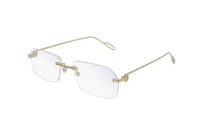 Gọng kính Cartier CT0162O 004 (57)