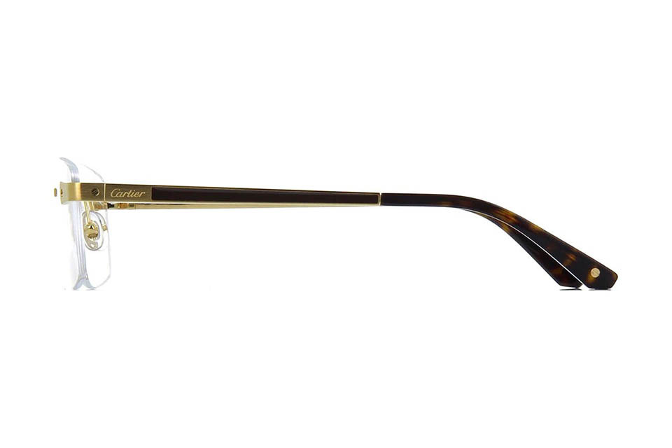 Cartier CT0201O 002 (57)