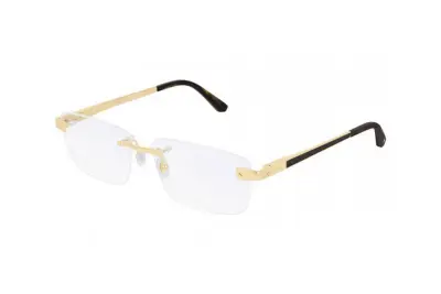 Gọng kính Cartier CT0201O 002 (57)