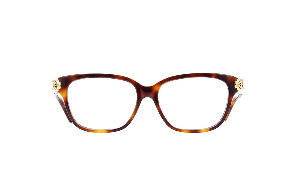 Cartier CT0210OA 002 (54)