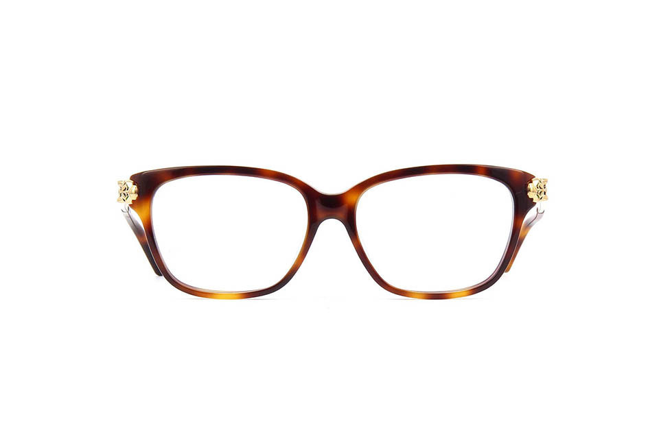 Cartier CT0210OA 002 (54)