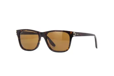 Kính mát Cartier CT0001S 002 (53)