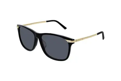 Kính mát Cartier CT0104SA 001 (59)