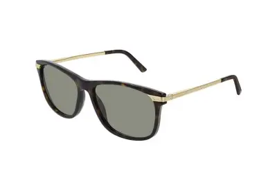 Kính mát Cartier CT0104SA 002 (59)