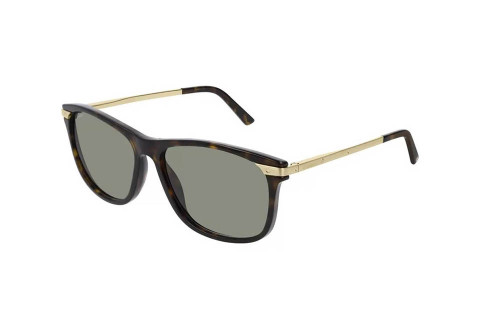 Cartier CT0104SA 002 (59)