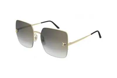Kính mát Cartier CT0121SA 004 (56)