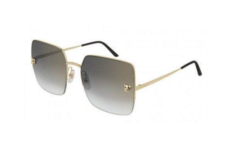 Cartier CT0121SA 004 (56)