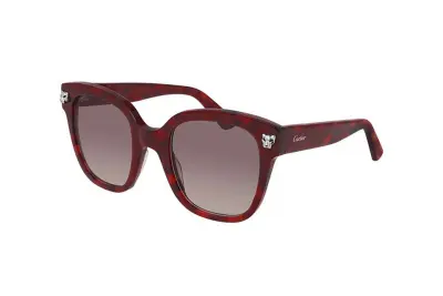 Kính mát Cartier CT0143S 003 (51)