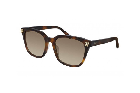 Cartier CT0143SA 002 (56)