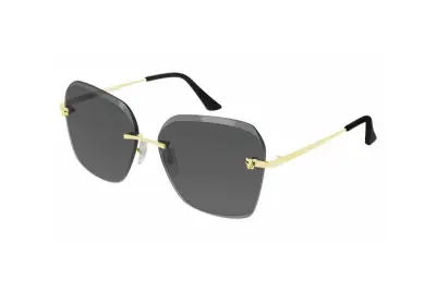 Kính mát Cartier CT0147S 001 (61)