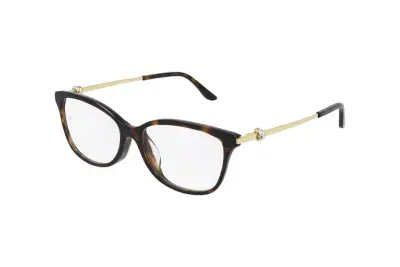 Gọng kính Cartier CT0257OA 002 (55)