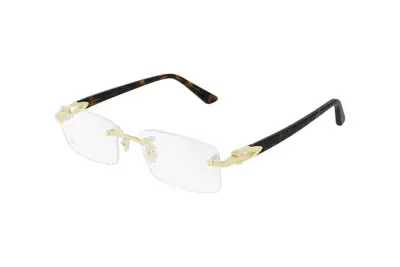Gọng kính Cartier CT0287O 002 (54)
