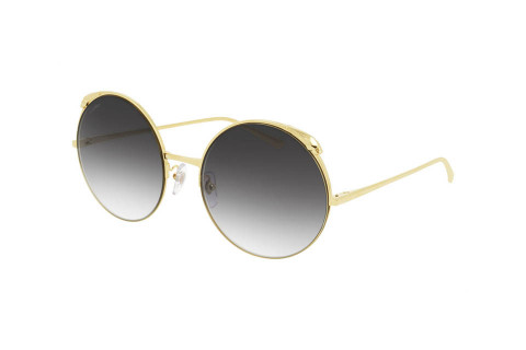 Cartier CT0149S 001 (60)