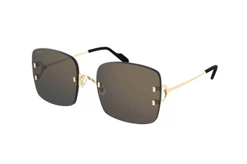 Cartier CT0153S 001 (58)