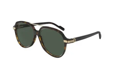 Kính mát Cartier CT0159SA 002 (57)