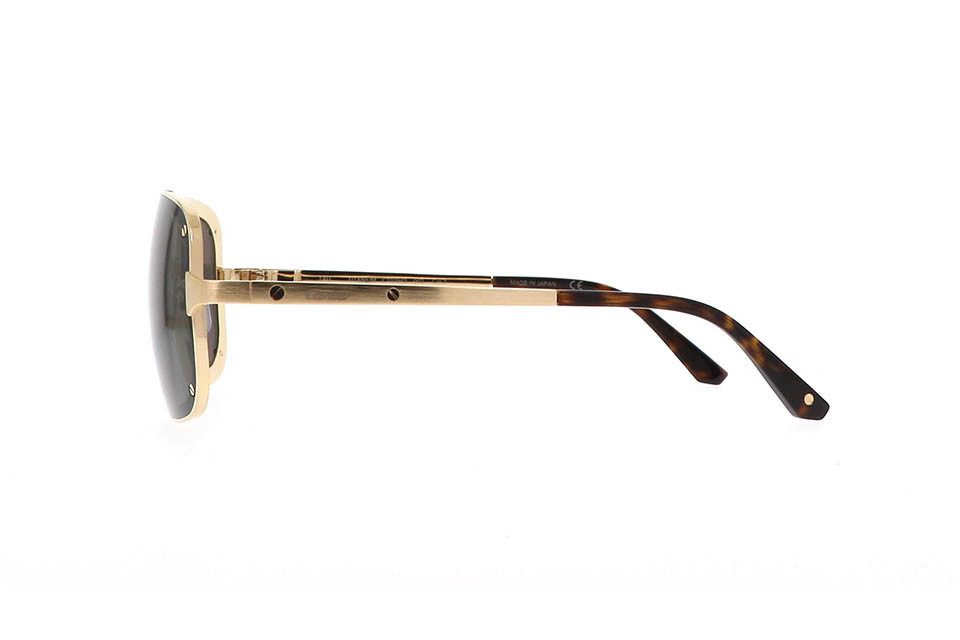 Cartier CT0194S 002 (58)