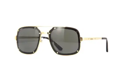 Kính mát Cartier CT0194S 002 (58)