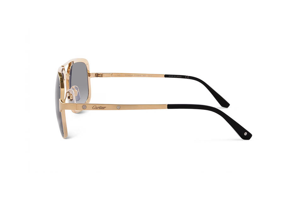 Cartier CT0194S 003 (58)