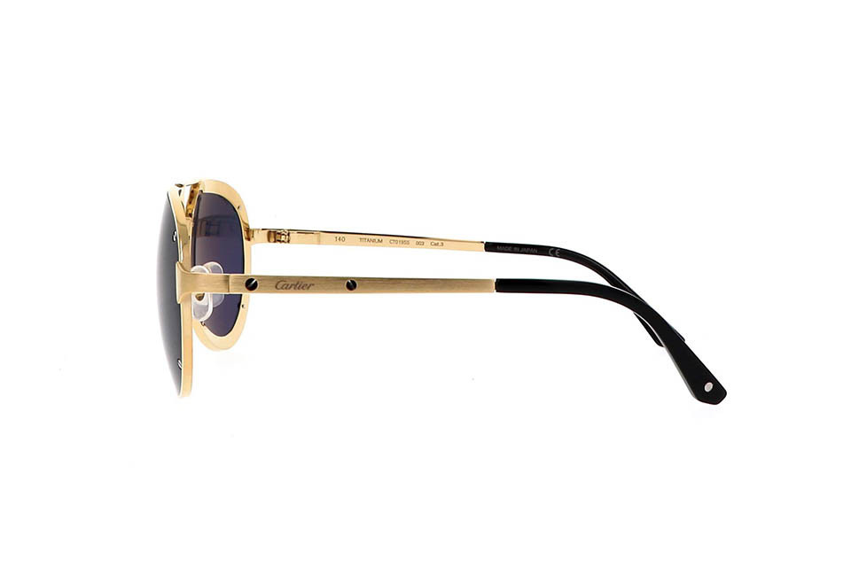 Cartier CT0195S 003 (60)