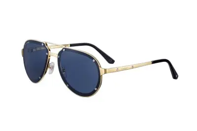 Kính mát Cartier CT0195S 003 (60)