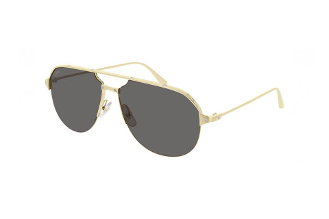 Cartier CT0229S 001 (60)