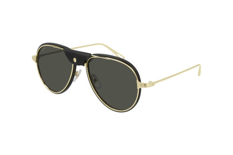 Cartier CT0242S 001 (54)