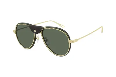Kính mát Cartier CT0242S 002 (54)