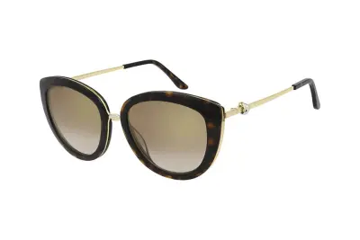 Kính mát Cartier CT0247SA 002 (54)