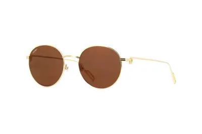 Kính mát Cartier CT0249S 002 (53)