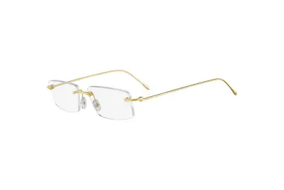 Cartier CT0070O 001 (56)