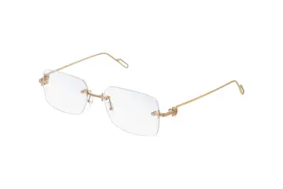 Gọng kính Cartier CT0171O 001 (55)