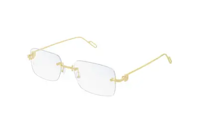 Gọng kính Cartier CT0171O 003 (55)