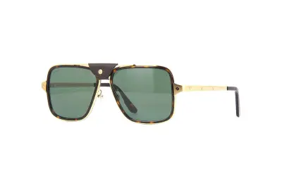 Kính mát Cartier CT0263SA 002 (58)