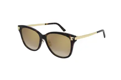 Kính mát Cartier CT0264SK 002 (56)