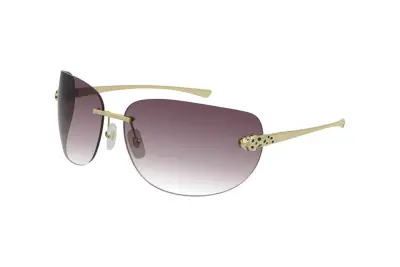 Kính mát Cartier CT0266S 003 (61)