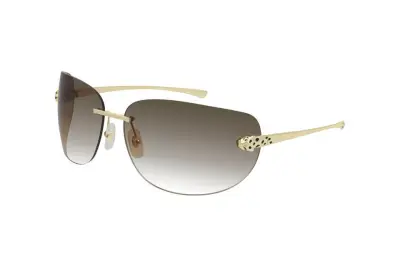 Kính mát Cartier CT0266S 004 (61)
