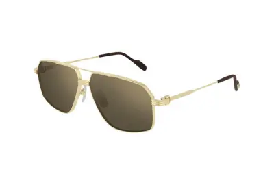 Kính mát Cartier CT0270S 002 (61)
