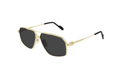 Cartier CT0270S 005 (61)