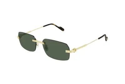 Kính mát Cartier CT0271S 002 (58)